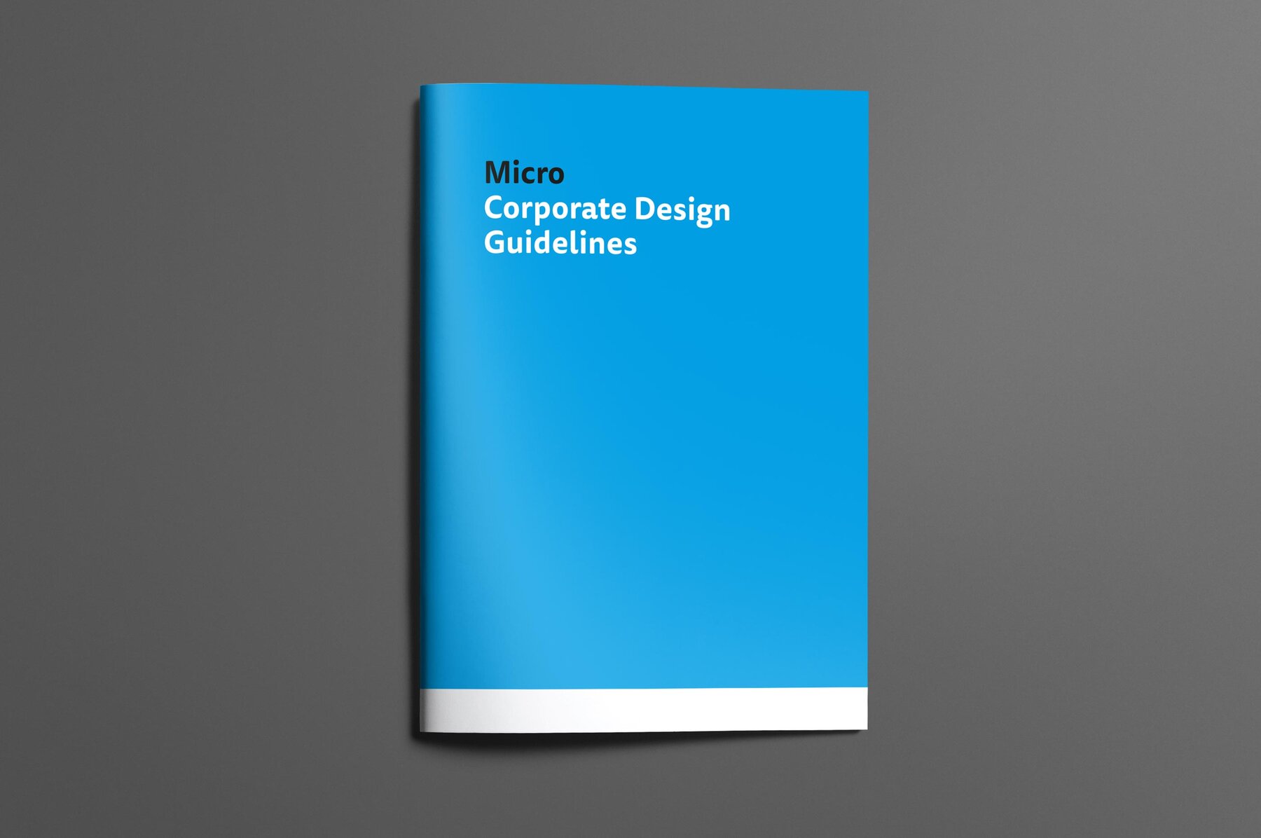 Corporate Design Guidelines Titelseite